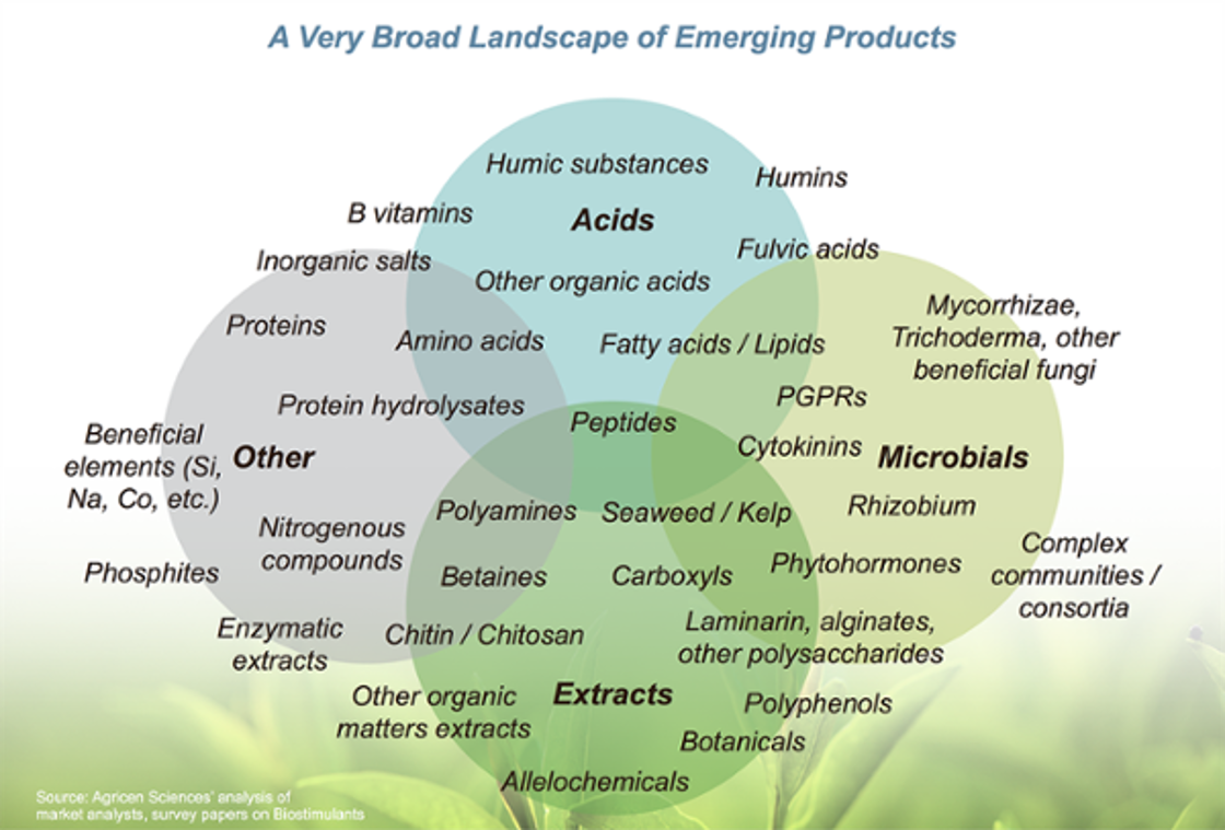 Biostimulants – The Nexus Of Biotechnology And Fertilizer | Cleantech Group