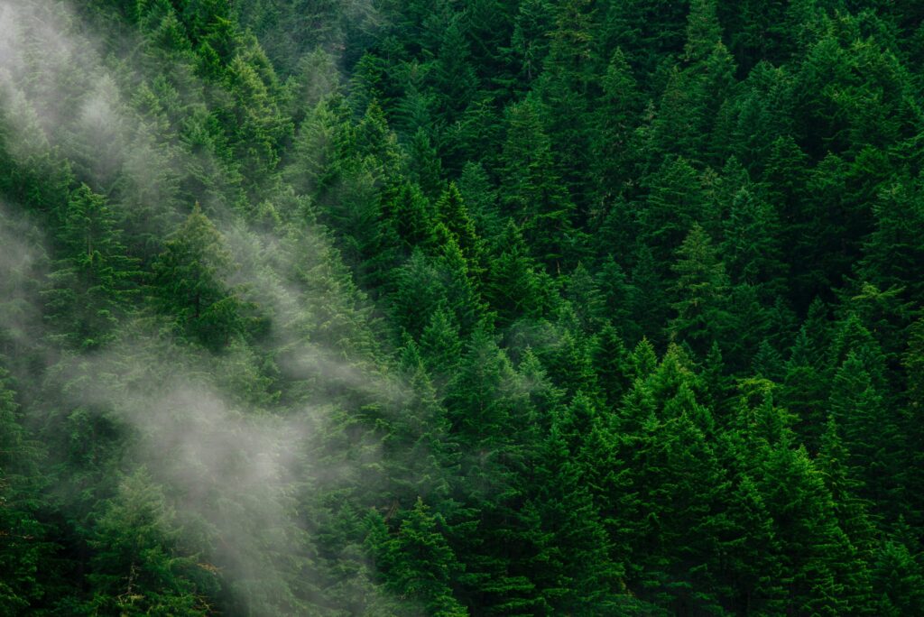 A Toolkit to Accelerate Cleantech Ecosystem Development in Any Country