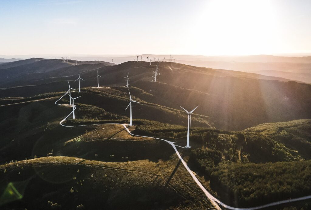 Green Ammonia: What’s New?