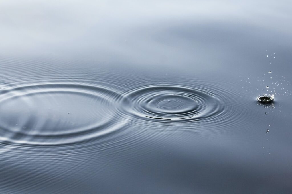 The State of the Water Sector