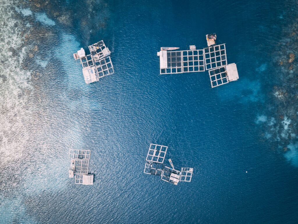 Aquaculture Innovation and Trends: Part 2