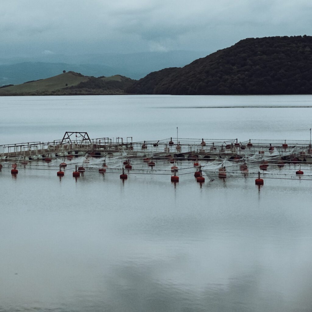 Aquaculture Innovation Trends and Challenges: Part 1