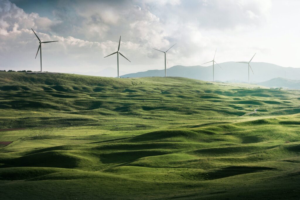 The Growing Pains of the Green Hydrogen Market