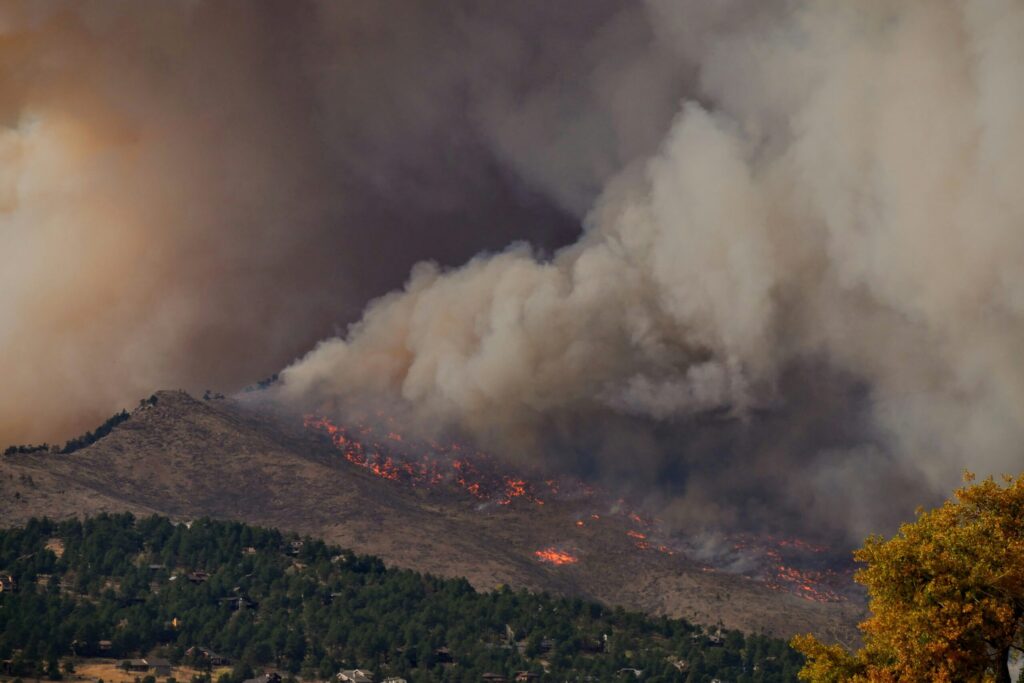 Outsmarting Wildfires with Artificial Intelligence