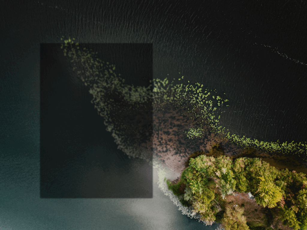 Driving Cleantech Innovation: The Power of Ecosystems  