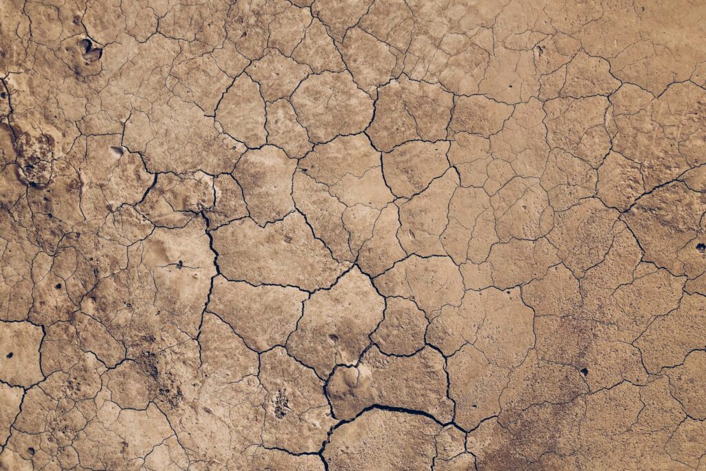 Adaptation & Resilience: Part II