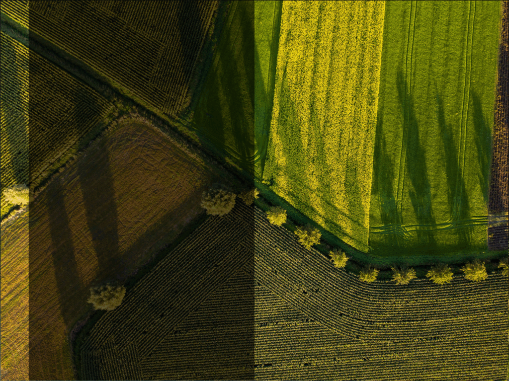 How Crop Science Innovation is Unlocking Future Food Security & Farm Sustainability