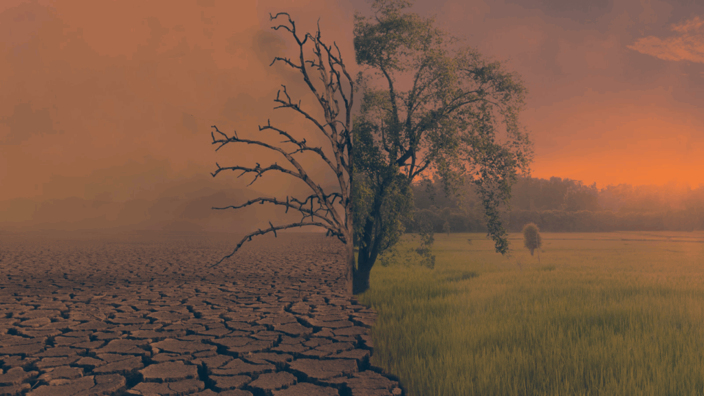 Insurance & Cleantech: New Markets for Climate Resilience