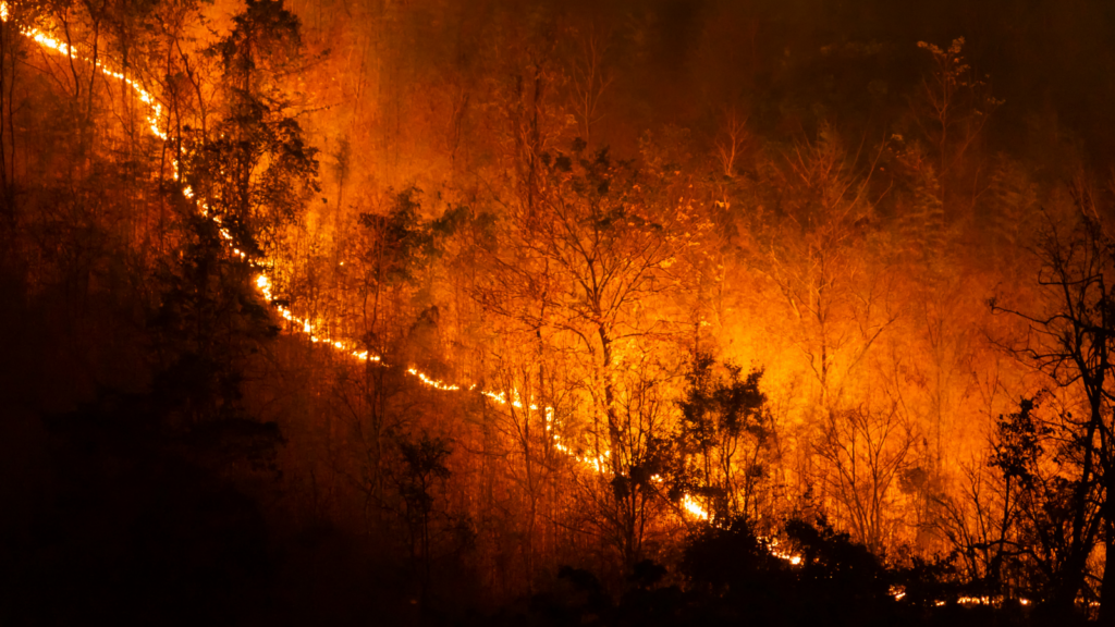 Outpacing the Flames: What Wildfire Tech Has Taught Us and What Comes Next 